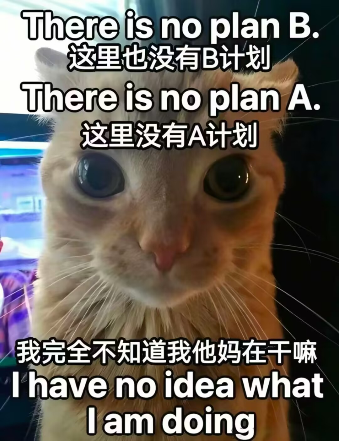 2025-06-21T12:20:27.png